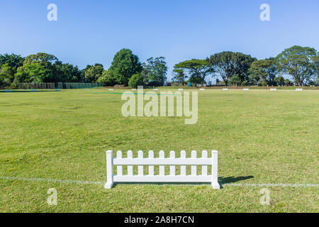 Scenic cricket motivi dal bianco recinzione perimetrale del campo di erba astro e campo di erba mattina summer blue giorno paesaggio di campagna. Foto Stock