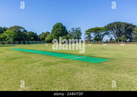 Scenic cricket motivi dal bianco recinzione perimetrale del campo di erba astro e campo di erba mattina summer blue giorno paesaggio di campagna. Foto Stock