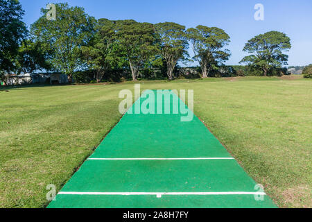 Scenic cricket motivi dal bianco recinzione perimetrale del campo di erba astro e campo di erba mattina summer blue giorno paesaggio di campagna. Foto Stock