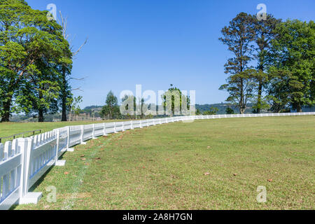 Scenic cricket motivi dal bianco recinzione perimetrale del campo di erba astro e campo di erba mattina summer blue giorno paesaggio di campagna. Foto Stock