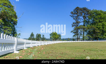 Scenic cricket motivi dal bianco recinzione perimetrale del campo di erba astro e campo di erba mattina summer blue giorno paesaggio di campagna. Foto Stock