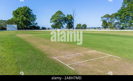 Scenic cricket motivi dal bianco recinzione perimetrale del campo di erba astro e campo di erba mattina summer blue giorno paesaggio di campagna. Foto Stock