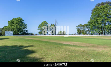 Scenic cricket motivi dal bianco recinzione perimetrale del campo di erba astro e campo di erba mattina summer blue giorno paesaggio di campagna. Foto Stock