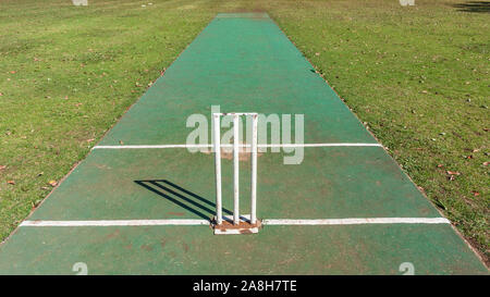 Scenic cricket motivi dal bianco recinzione perimetrale del campo di erba astro e campo di erba mattina summer blue giorno paesaggio di campagna. Foto Stock