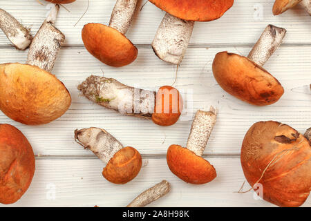 Il piano portapaziente foto - fresco funghi di bosco, rosso-capped scaber levetta (Leccinum aurantiacum / albostipitatum), su bianco di tavole di legno scrivania Foto Stock