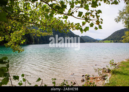 A riva lungo il lago Hintersteinersee. Austria Europa Wilder Kaiser Foto Stock