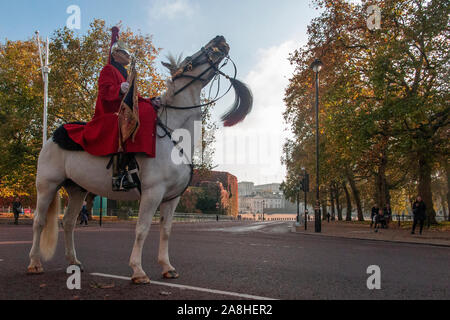 Un raglio White Horse, con horseguard in piedi sul Mall con Horseguard's Parade in background Foto Stock