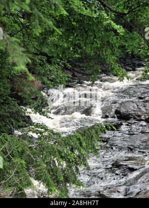 Cascata di fiume in un verde forrest Foto Stock