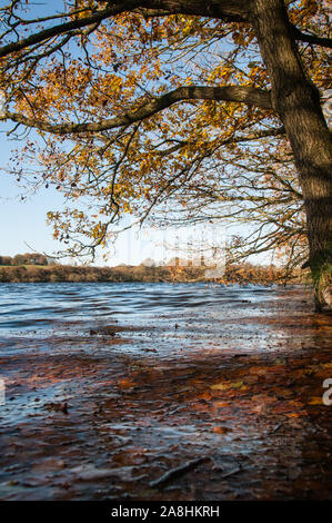 Intorno al Regno Unito - Lancashire - Rivington Foto Stock