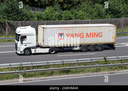 DAF XF carrello con Yang Ming contenitore su autostrada. Foto Stock