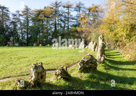 "Gli uomini del re' Stone Circle (l'Rollright Stones), vicino a Long Compton, Oxfordshire, England, Regno Unito Foto Stock