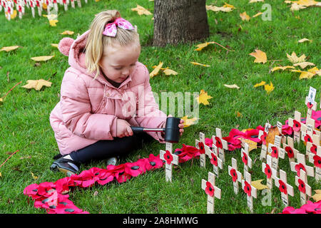 09 novembre 2019, Glasgow, Scotland, Regno Unito. Grazia EVERETT (dai 3 anni) da Glasgow assiste alla British Legion Giardino della Rimembranza in George Square, da Glasgow a lasciare il papavero su piccole croci di legno in ricordo del suo bisnonno 'CHARLES EVERETT' che hanno servito nella RAF, il suo bisnonno "Robert" di pietra che ha servito con il Royal Engineers e il Cameronians e suo zio "Alex" di pietra che ha servito con il Royal Highland Fusiliers. Credit Findlay/ Alamy News Foto Stock