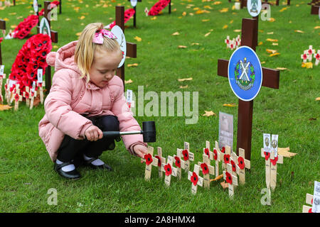 09 novembre 2019, Glasgow, Scotland, Regno Unito. Grazia EVERETT (dai 3 anni) da Glasgow assiste alla British Legion Giardino della Rimembranza in George Square, da Glasgow a lasciare il papavero su piccole croci di legno in ricordo del suo bisnonno 'CHARLES EVERETT' che hanno servito nella RAF, il suo bisnonno "Robert" di pietra che ha servito con il Royal Engineers e il Cameronians e suo zio "Alex" di pietra che ha servito con il Royal Highland Fusiliers. Credit Findlay/ Alamy News Foto Stock