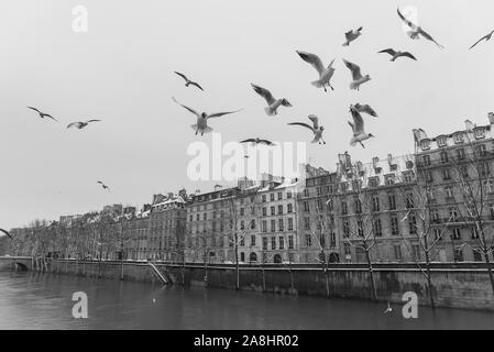 Parigi sotto la neve e le inondazioni, banchine allagate, alberi sotto l'acqua, la Senna in inverno Foto Stock