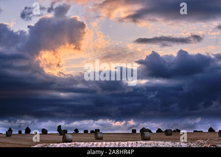 Nubi si addensano all'orizzonte su balle di fieno Foto Stock