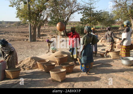 Paese Dogon : villaggio di Ogol Ley (Sangha) Foto Stock