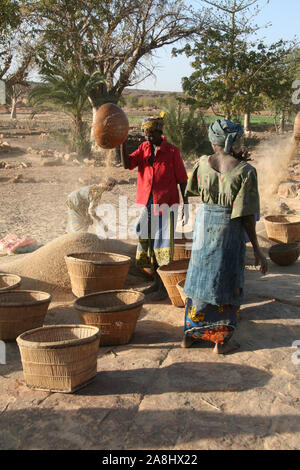 Paese Dogon : villaggio di Ogol Ley (Sangha) Foto Stock