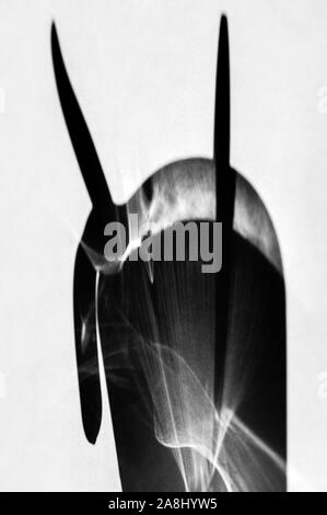 Vaso di cristallo illuminata con luce naturale creazione astratta di forme e disegni sul banco di cucina Foto Stock