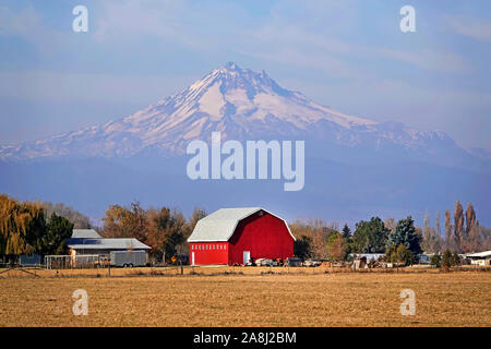 Un rosso brillante fienile su un ranch sotto le pendici del monte Jefferson, la seconda vetta più alta in Oregon, in Oregon centrale vicino alla città di Madras. Foto Stock