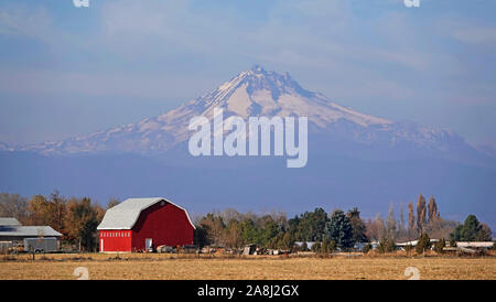 Un rosso brillante fienile su un ranch sotto le pendici del monte Jefferson, la seconda vetta più alta in Oregon, in Oregon centrale vicino alla città di Madras. Foto Stock