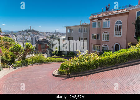 San Francisco, la famosa Lombard Street, tortuosa strada in Russian Hill, con la torre Coit sullo sfondo Foto Stock