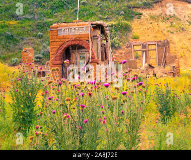 THistle resti Thistle città fantasma, Utah, Wastatch montagne, Spagnolo Canyon a forcella Foto Stock