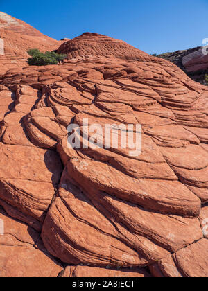 Cross-bedded arenaria, Flusso di Lava Trail, Snow Canyon State Park, Saint George, Utah. Foto Stock