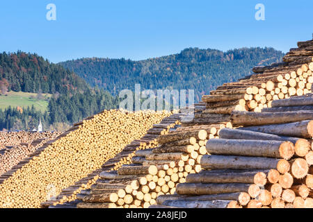 Sankt Georgen am Längsee: tronchi di alberi, registri a segheria in Austria Kärnten, in Carinzia Foto Stock