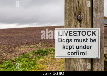 Un segno su un sentiero attraverso Norfolk farmland avverte che i cani devono essere tenuti sotto controllo a causa del bestiame. Foto Stock