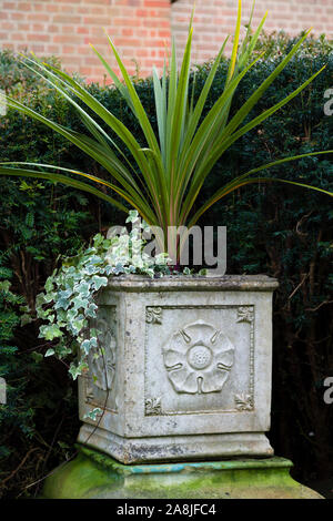 Piantatrice giardino gotico urna con un impianto di cordyline Foto Stock