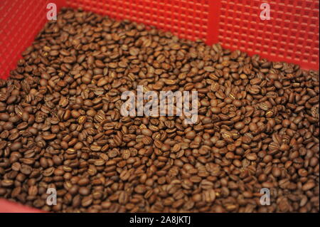 Pane appena sfornato i chicchi di caffè vengono essiccati in un cesto di rosso Foto Stock