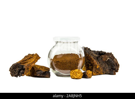 Puro sano selvaggio chaga fungo Inonotus obliquus in polvere in un barattolo di vetro per la preparazione del caffè e del tè e pezzi di un fungo isolato su bianco bac Foto Stock