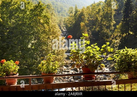 Una veranda giardino fiorito affacciato sul Maratime Alpi vicino a Valdieri, Cuneo, Piemonte, Italia Foto Stock