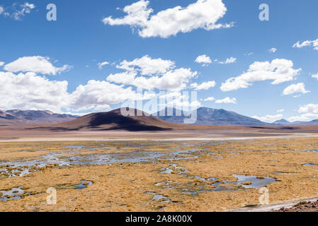 Rio Putana, San Pedro de Atacama Foto Stock