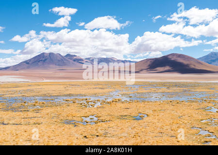 Rio Putana, San Pedro de Atacama Foto Stock