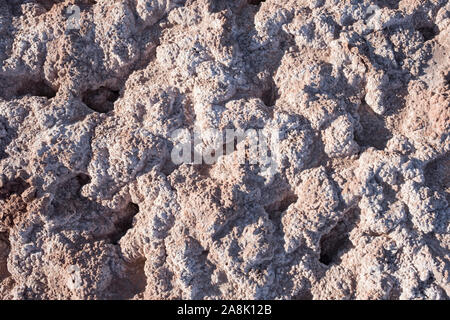 Dettaglio della massa secca del deserto di Atacama, San Pedro de Atacama, Cile Foto Stock