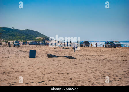 Una spiaggia a sud di Durban nel KwaZulu Natal provincia in Sud Africa Foto Stock