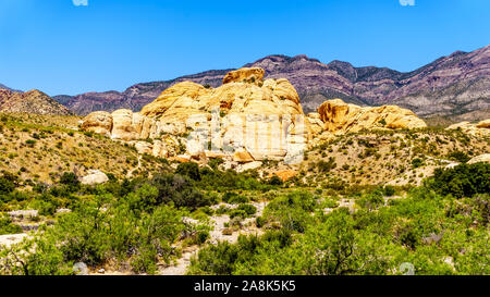 Il Giallo scogliere di arenaria sulla cava di pietra arenaria Trail nel Red Rock Canyon National Conservation Area vicino a Las Vegas, Nevada, Stati Uniti Foto Stock