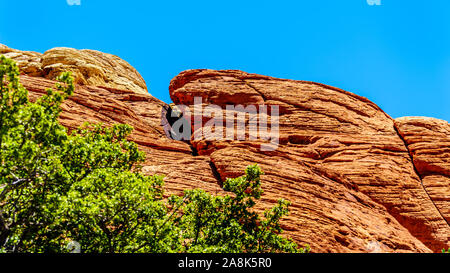 Il Giallo e il rosso scogliere di arenaria sulla cava di pietra arenaria Trail nel Red Rock Canyon National Conservation Area vicino a Las Vegas, Nevada, Stati Uniti Foto Stock