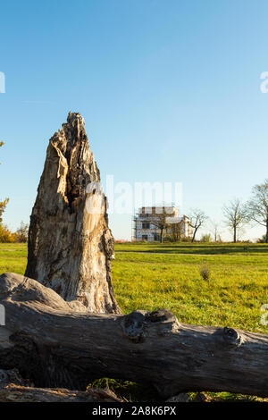 Uno dei 200 anni alberi di quercia caduto e debranched su maggese prato pascolo con casa moderna costruita nelle vicinanze, Harkai plato, Sopron, Ungheria Foto Stock