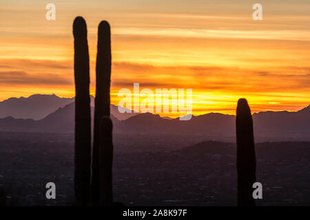 Vista del paesaggio durante il tramonto nel Parco nazionale del Saguaro vicino a Tucson, Arizona. Foto Stock