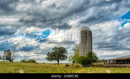 Granaio e silo in un campo con alberi nelle zone rurali del Nord Carolina in un giorno di tempesta Foto Stock