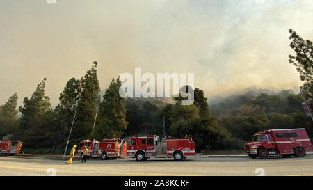 Los Angeles, California, USA. 9 Nov, 2019. La Barham fuoco arde 25 acri vicino Forrest Lawn Cenetery e Warner Bro. Proprietà nella sezione di Burbank di Los Angeles, California. Credito: David Swanson/ZUMA filo/Alamy Live News Foto Stock