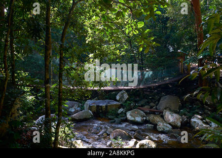 Guardando il ponte sospeso che attraversa il fondo della grande cascata a Gunung forte parco dello stato. In DaBong, Kelantan, Malaysia. Foto Stock