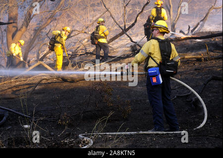 Los Angeles, California, USA. 9 Nov, 2019. LAFD ha risposto in vigore per il controllo di un incendio che ha diffuso il sabato pomeriggio a Barham Blvd e Forest Lawn Dr. di Burbank. Credito: Neal acque/ZUMA filo/Alamy Live News Foto Stock