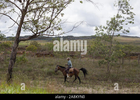 Diamantina, Minas Gerais, Brasile - 27 Gennaio 2016: cowboy brasiliano passeggiate a cavallo nell'entroterra della regione di Diamantina Foto Stock