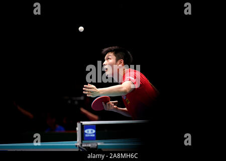 Tokyo, Giappone. Decimo Nov, 2019. Ventilatore Zhendong della Cina serve a Jang Woojin della Corea del Sud durante l'uomo partita finale tra la Cina e la Corea del Sud al 2019 ITTF World Team Cup a Tokyo in Giappone, nov. 10, 2019. Credito: Hua Yi/Xinhua/Alamy Live News Foto Stock