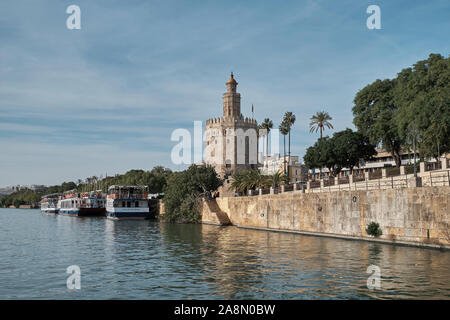 Torre del Oro. Siviglia, in Andalusia, Spagna. Foto Stock