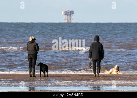 Southport, Regno Unito. Il 10 novembre 2019. Dopo una settimana di pioggia continua, il sole finalmente si rompe attraverso come persone fuori di testa per un po' di divertimento al sole in un freddo giorno di nitido sulla spiaggia di Southport nel Merseyside. Credito: Cernan Elias/Alamy Live News Foto Stock