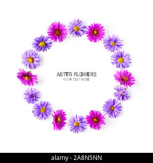 Autunno composizione di fiori. Ghirlanda di rosa e viola aster su sfondo bianco. Fiori e layout creativi. Appartamento laico, vista dall'alto, copia spac Foto Stock